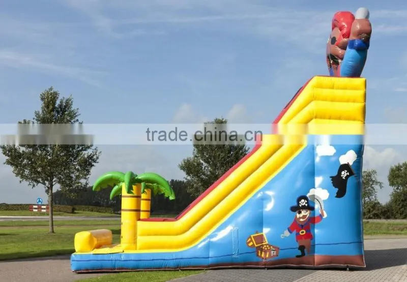 Good Price Inflatable Slide on Selling, Professional Inflatables Factory in China