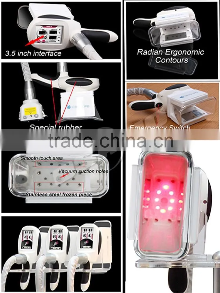 Best price cryolipolysis device , fat freeze device
