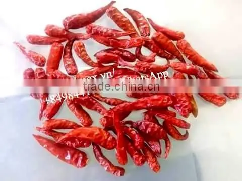 FRESH HOT PEPPER, CHILLI +84963818434 whatsapp