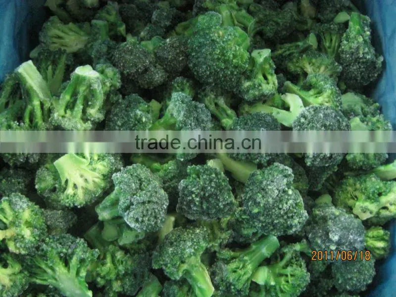 Frozen broccoli with best price, frozen vegetable