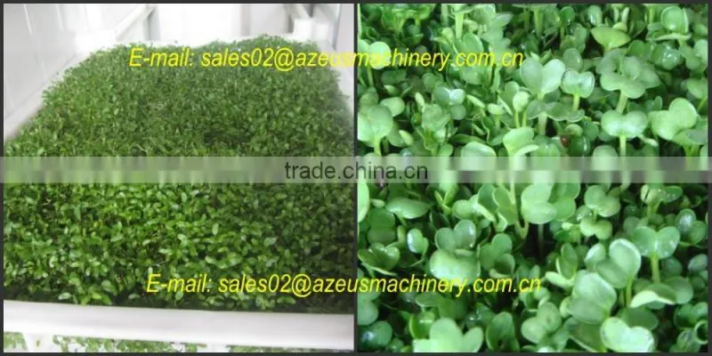 Automatic hydroponic barley grass fodder planting Machine for animal,livestock,cattle,sheep
