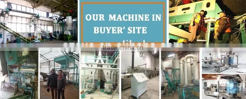 Tractor Towed Wood Pellet Machinery Line/Wood Pellet Mill Plant