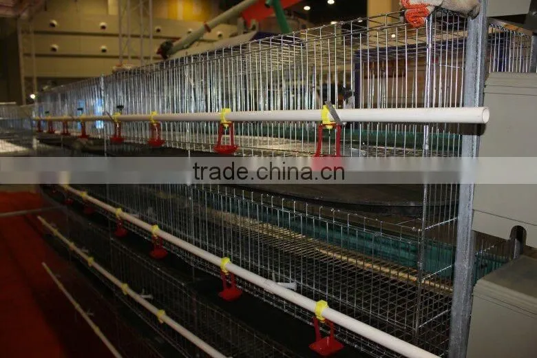 Bird cages quail battery cages quail cage