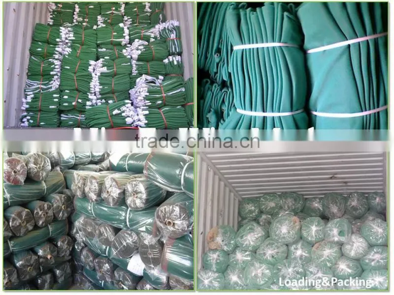 HDPE Construction Net/HDPE Safety Net/Construction Safety Net (Guangzhou Factory)