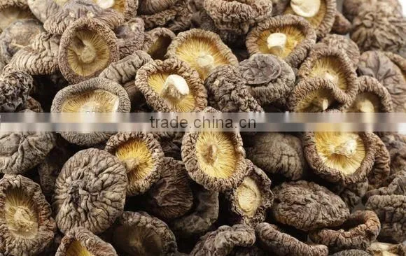 Agriculture food fruits vegetables plate dryer machine solar air collecter drying machine solar dehydrator machine