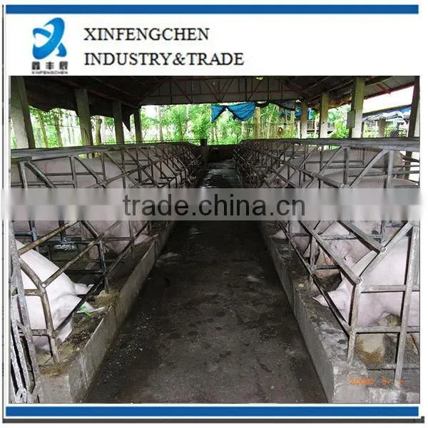 Pig stall for pig farm