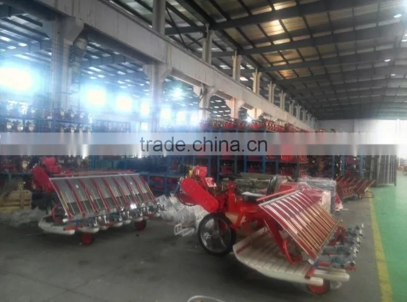 8 rows 238mm Electric Key start Rice Transplanter with hydraulic device and cheaper rice transplanter price