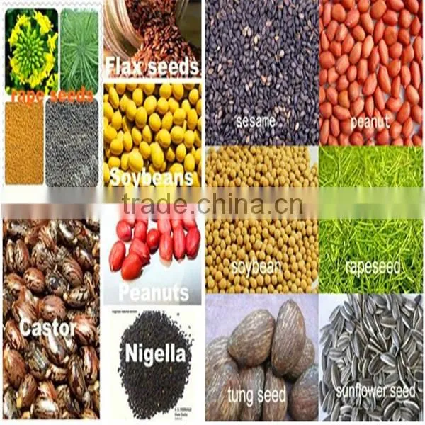 CE approved oil press machine/peanut oil processing machine/peanut oil making machinewith good quality