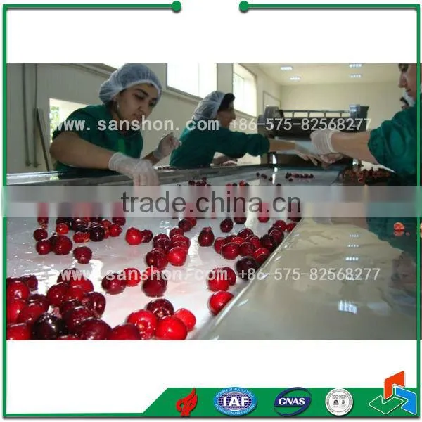 China Fluidized IQF Freezer Machine Price
