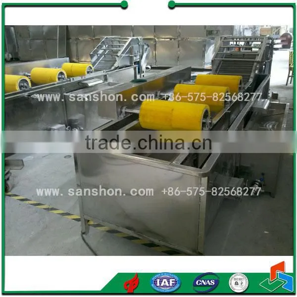 Vegetable Bubble Washing Leafy Vegetable Washing Machine