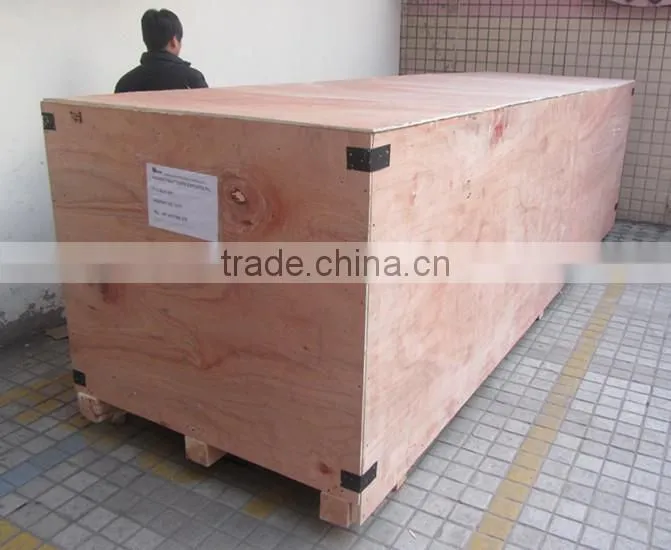 300kg per hour Frozen French Fries Production Line Processing Machines