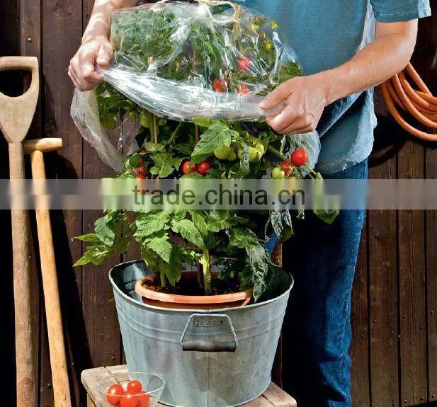 PE agricultural plastic Greenhouses film kit tunnel for vegetable used in garden