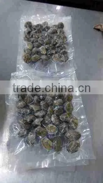 FORZEN BOILED SHORT NECKED CLAM