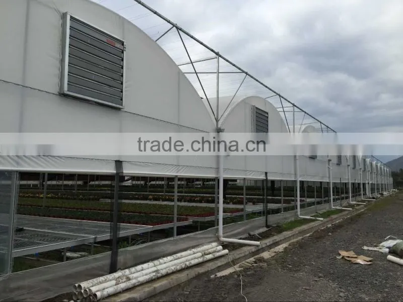 Manufacturer Plastic Film Greenhouse Tunnel for Medical Plant