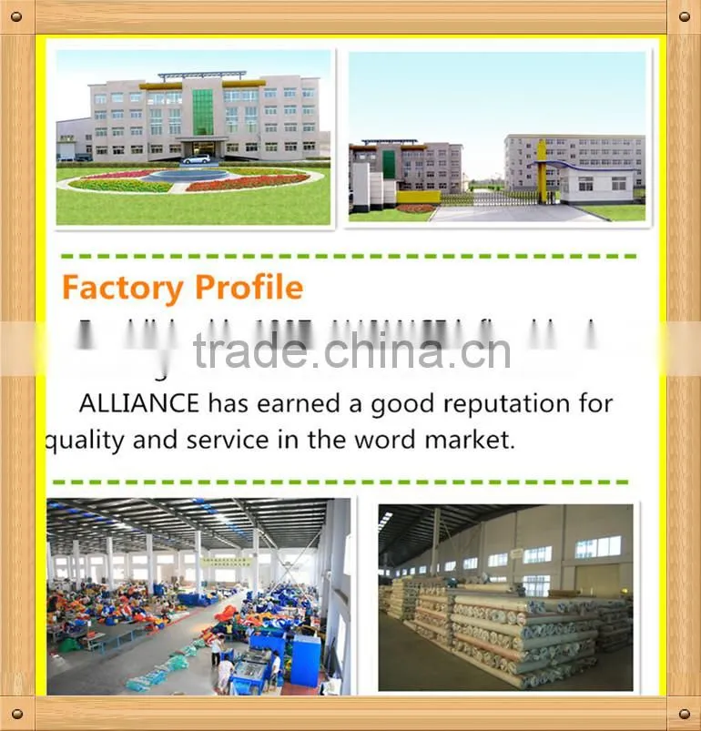 giant inflatable water slide with pool multiplay super clown manufacturer in Dongguan