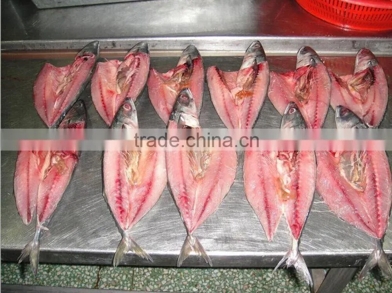frozen block mackerel flaps