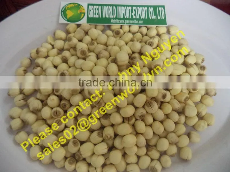 LOTUS SEEDS - HIGH QUALITY AND GOOD PRICE
