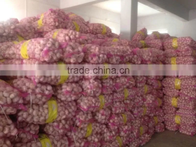 fresh garlic