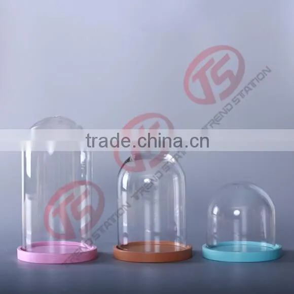 Glass garden decoration cloche