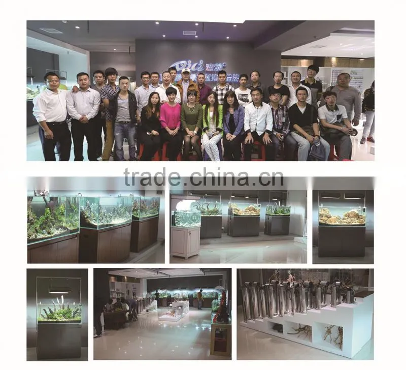 DICI hot sale OEM ultra glass aquarium Fish Tank