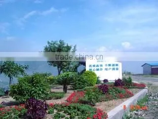 Sichuan Hongyu Baiyun New Materials Co., Ltd. company overview - view 3