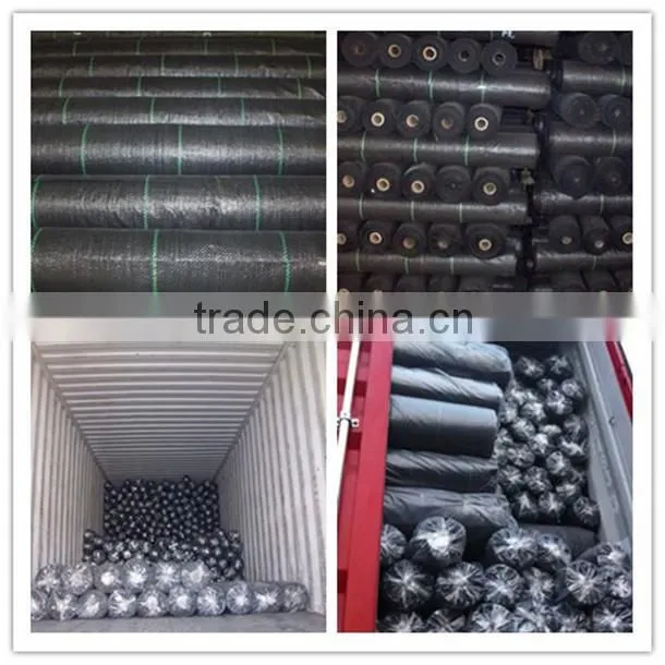 PP WOVEN GROUND COVER/WEED BARRIER/NEEDLE PUNCHED FABRIC/PP WOVEN GEOTEXTILES