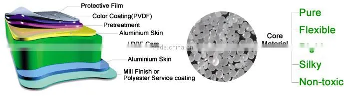 ACP Wall Panel