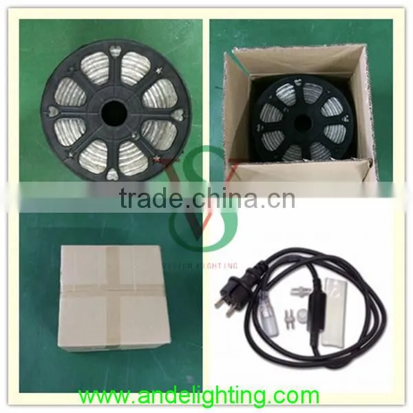 CE,.RoHS,GS Approved 2 wire 10mm multi-color led rope lights for outdoor decoration Christmas light