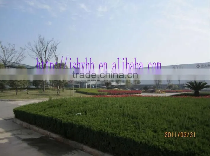 New Arrival Stainless Steel Coil SS Strips