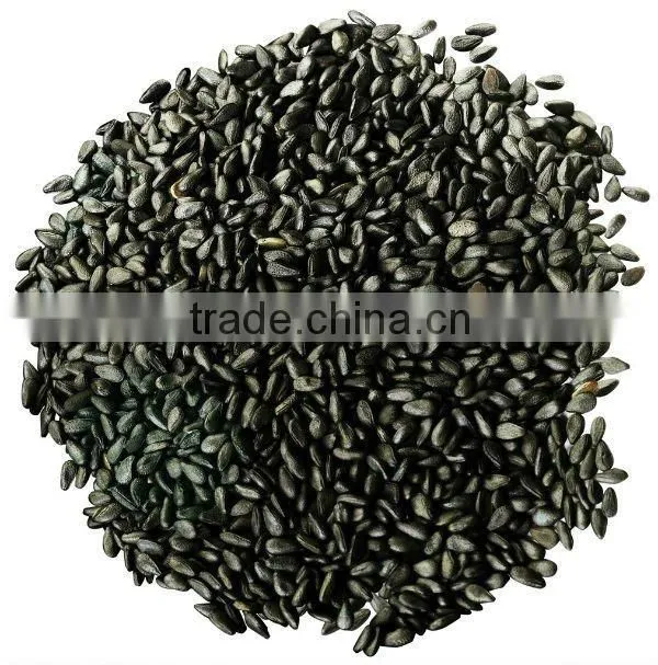 Integrative famous brand oil extractor machine in Sichuan of China