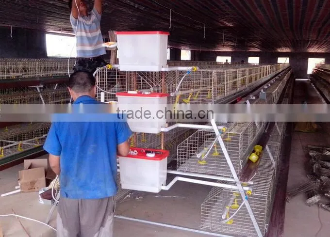 Anping factory chicken egg laying cage for farm