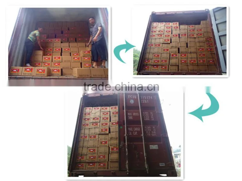 Canned Mackerel In Tomato Sauce with HACCP,ISO