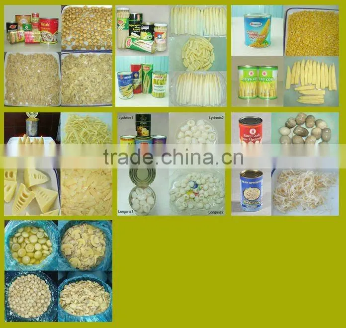 Canned bean sprout