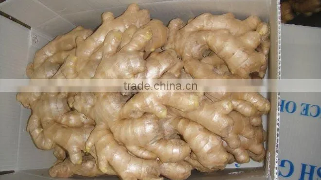 Fresh ginger needed