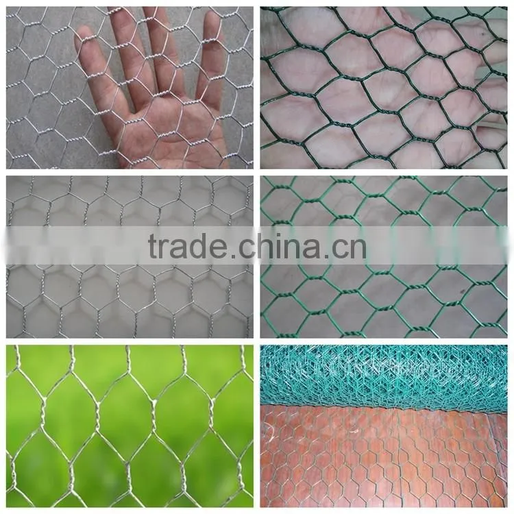 Low cost chicken coop wire netting for sale for chicken