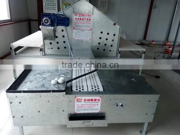 Goldenest automatic egg collection system chicken nesting boxes factory price JCJ15-A02