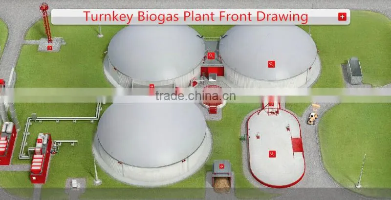TURNKEY Biogas Plant, Biomass Plant, Biogas Project, Biogas Power Plant, Small Biogas Plant, Biomass CHP