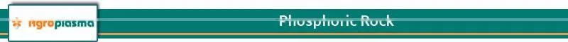 Good Quality 100% Organic Rock Phosphate Available for Plant Health