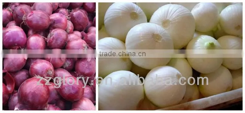 High Performance Automatic Oinon Peeling Machine