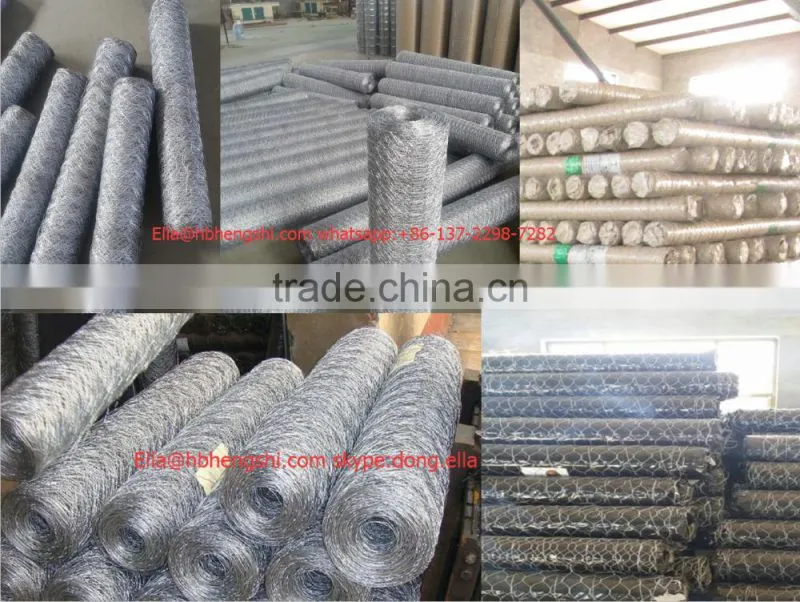 Hexagonal Mesh/Hexagonal Wire Mesh