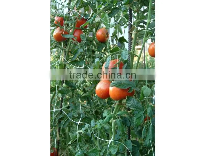 Plastic Vegetable Climbing Plant Support Mesh
