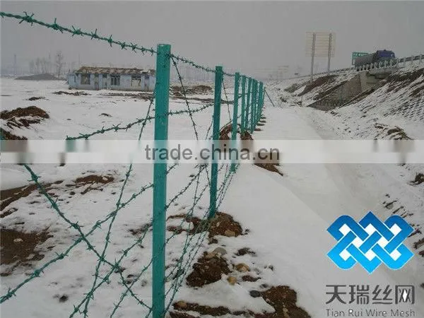 galvanized steel coiled barbed wire