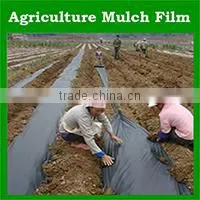 china factory 100% virgin reinforced plastic roll sheet korea pe tarpaulin