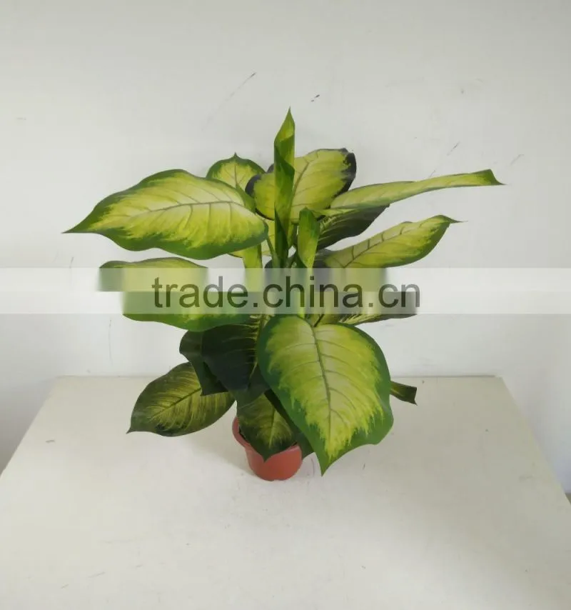 artificial rohdea fake dieffenbachia artificial decorative evergreen