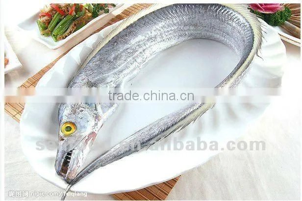 Ribbon Fish