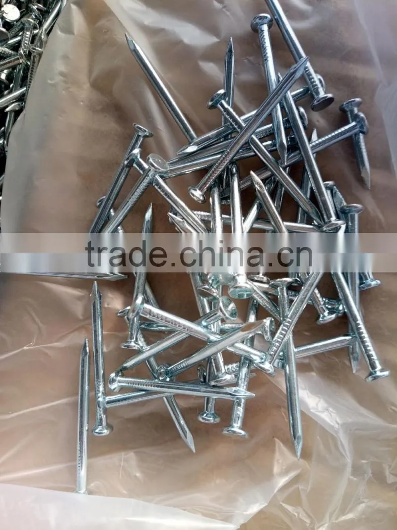 Galvanized Smooth Concrete Nail