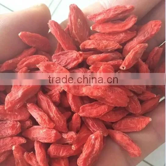 2016 new natural Goji berry/ wolf berry/gouqi