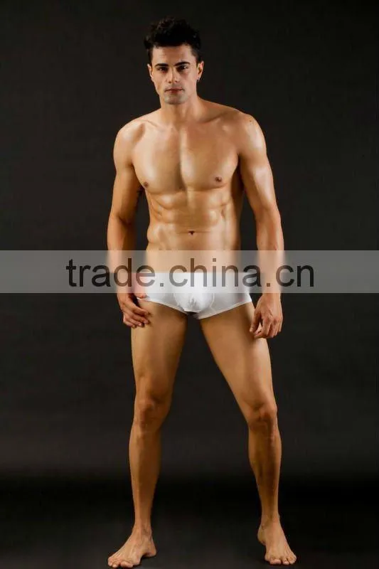 Hot sale men's boxer nylon underwear sexy panties for man boxers