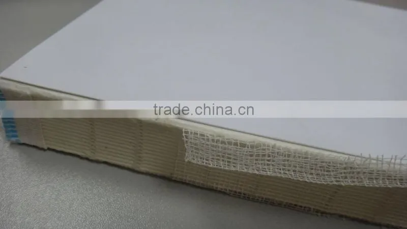 Spine of paper