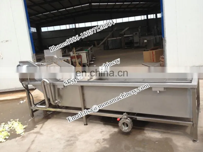 fruit processing industrial vegetable and fruit washing machine